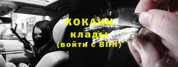 spice Ельня