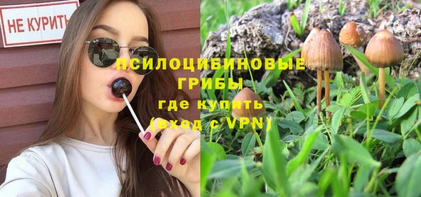 spice Ельня