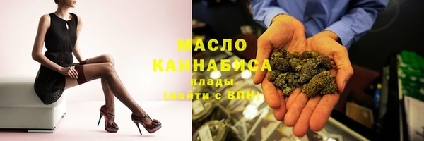 spice Ельня