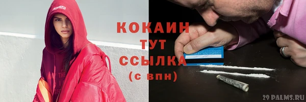 spice Ельня
