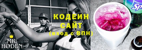 spice Ельня