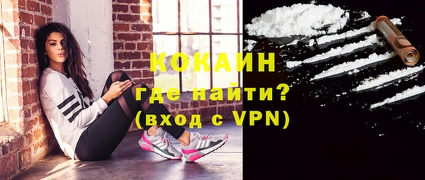 spice Ельня