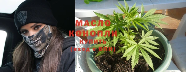 spice Ельня