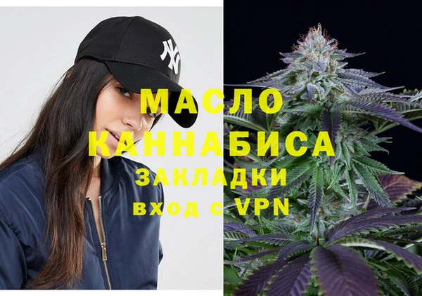 spice Ельня