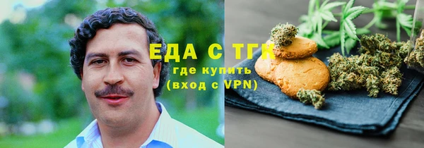 spice Ельня
