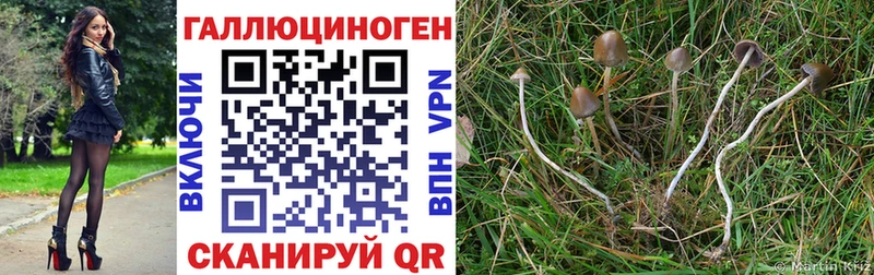 Галлюциногенные грибы MAGIC MUSHROOMS  Уварово 